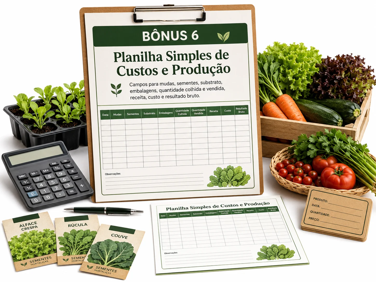 Bônus 6: Planilha Simples de Custos e Produção